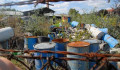 Egy ritka gázos cég és strómanok állnak a kiskunhalasi hulladékbotrány hátterében