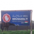 Soros György küldött egy lovat, hogy megegye Orbánék „Állítsuk meg Brüsszelt”-plakátjait
