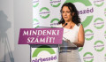 „A Fidesz-kormány több millió embert hagyott az út szélén, döntéseivel csak a bankoknak kedvezett”