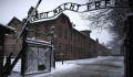 A lengyel kormány már ott tart, hogy zsidó elkövetői is voltak a holokausztnak