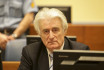 Életfogytiglant kaphat Radovan Karadžić