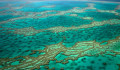 Milliárdokat áldozna Ausztrália a Nagy-korallzátony megmentésére, de későn kaptak észbe