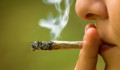 Alkotmányellenes mostantól tiltani a marihuána használatát