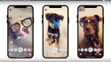 Végre: megérkeztek a kutyafilterek Snapchatre