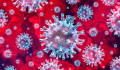Koronavírus: meghalt 40 beteg, tovább emelkedtek a járványmutatók