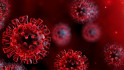 Koronavírus: 71-en haltak meg az elmúlt 24 órában