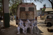 A WHO aggasztónak minősítette a koronavírus indiai variánsát