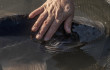 Szabadon engedték a vadászati világkiállítás tokhalait