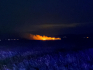 Tizennégy órán át égett a nádas a Fertő tónál