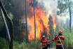Portugáliában erdőtüzeket okozott a hőség