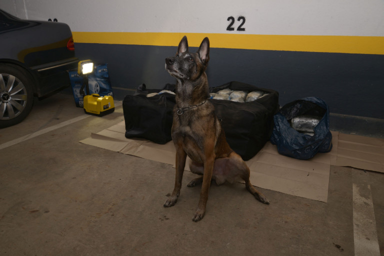 62 kilogrammnyi kábítószert foglaltak le a rendőrök Szegeden