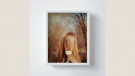 Arcade Fire – Owen Pallett: Her 
