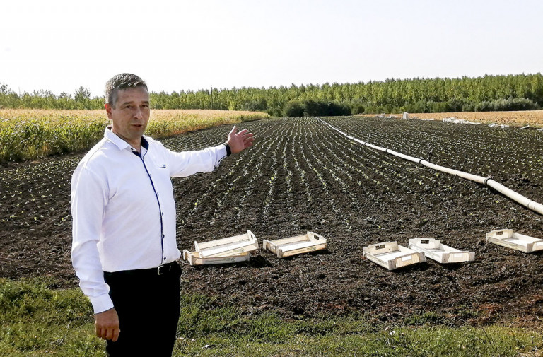Árpád, árpánk