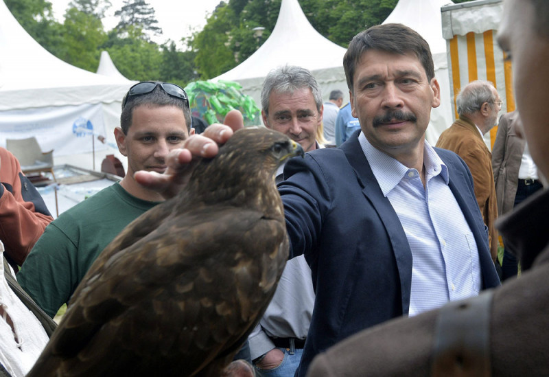 ?der J?nos ell?togatott az I. Nemzetk?zi Term?szetfilm Fesztiv?l