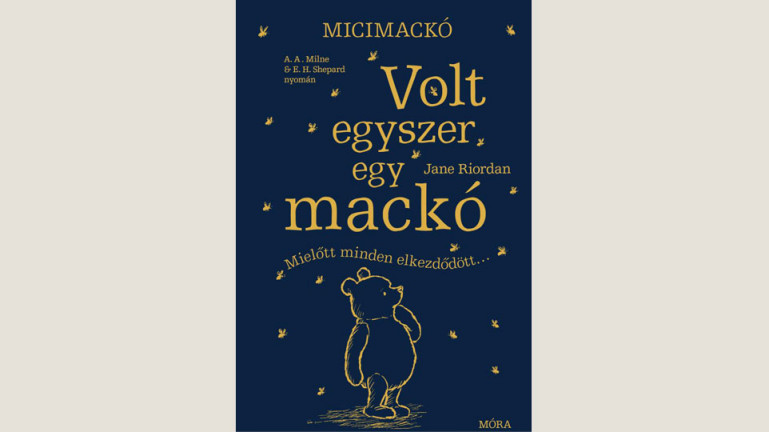 Jane Riordan: Volt egyszer egy mackó