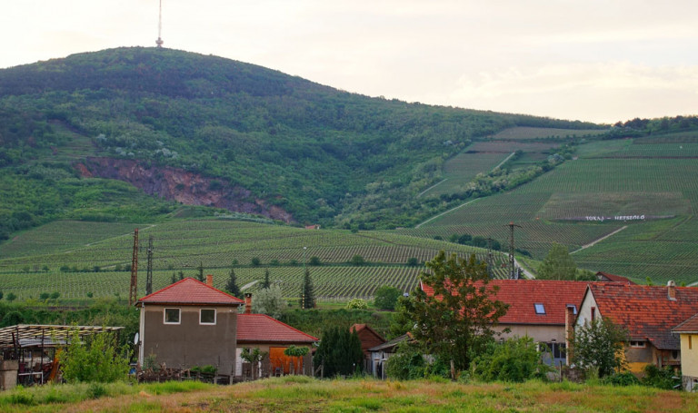 Megvédi-e természeti értékeinket a Natura 2000 minősítés?