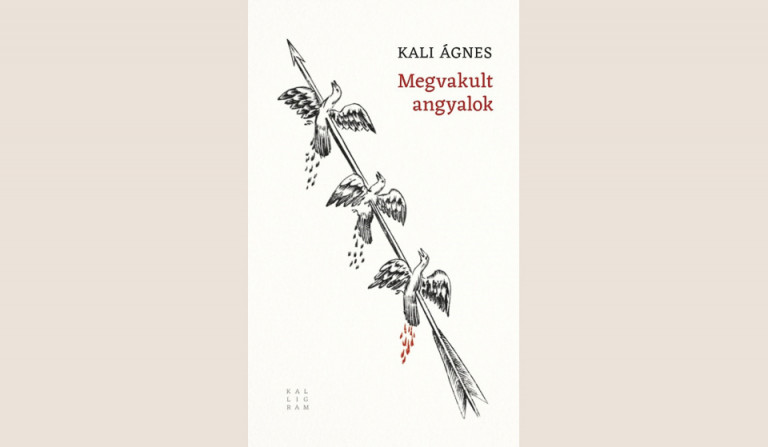 Kali Ágnes: Megvakult angyalok 
