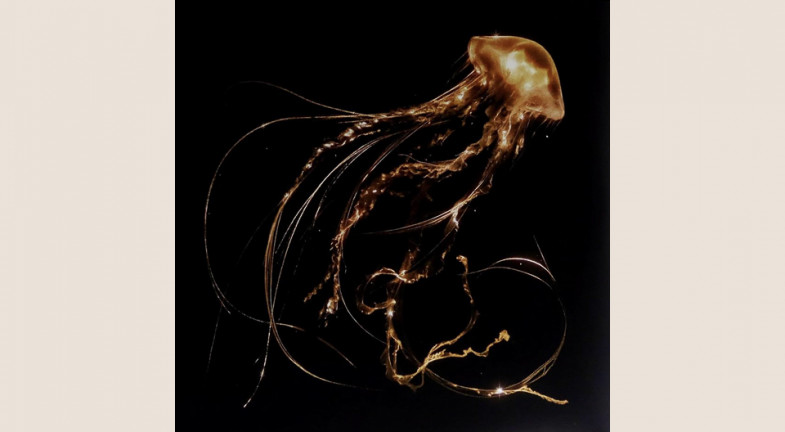 Royal Blood: Back to the Water Below 