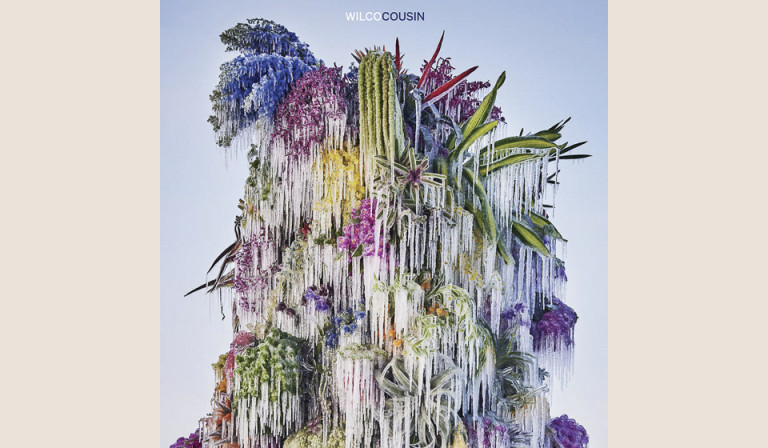 Wilco: Cousin 