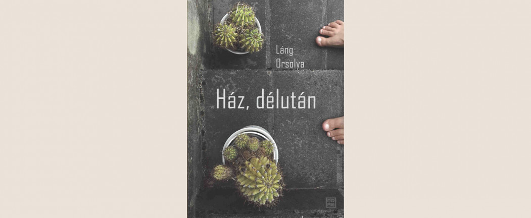 Láng Orsolya: Ház, délután 
