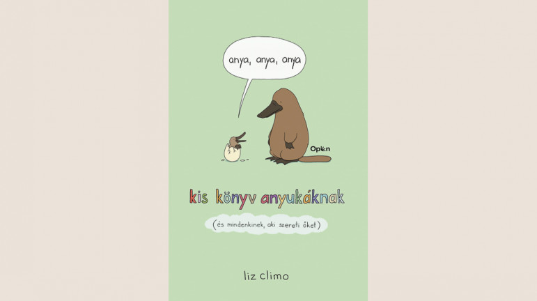 Liz Climo: Anya, anya, anya – Kis könyv anyukáknak 