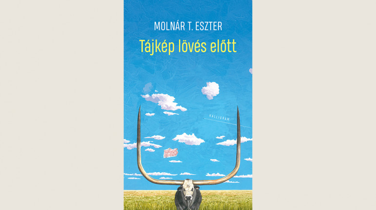  Molnár T. Eszter: Tájkép lövés előtt 