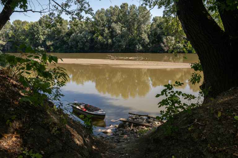 Sózva, szárítva