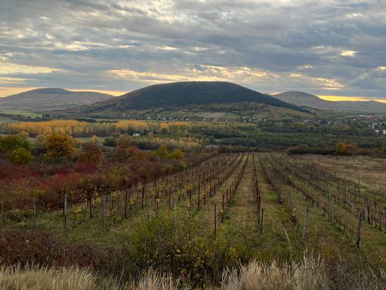 Elaludt a hatóság és a szakma