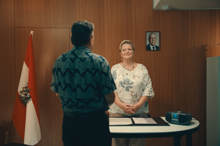 Cica az istállóban  