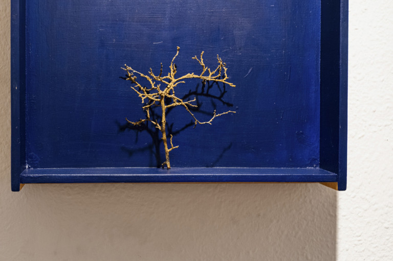 Levelet kaptam, life  