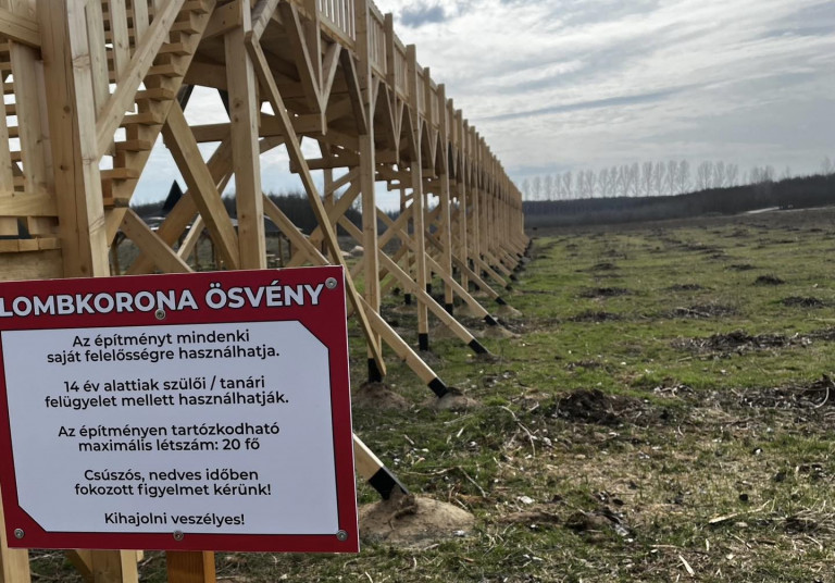60 millió forintból épült lombkoronasétány Nyírmártonfalván, de kivágták körülötte az erdőt