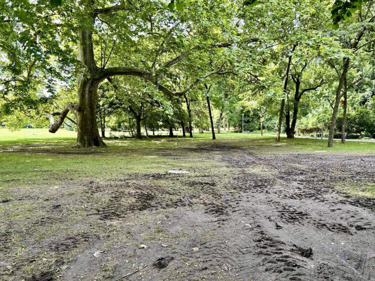 A Főkert megkezdte a Margitsziget helyreállítását a Békemenet után