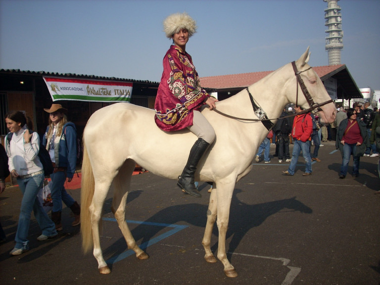 Türkmén lovakat vesznek szemügyre Bábolnán