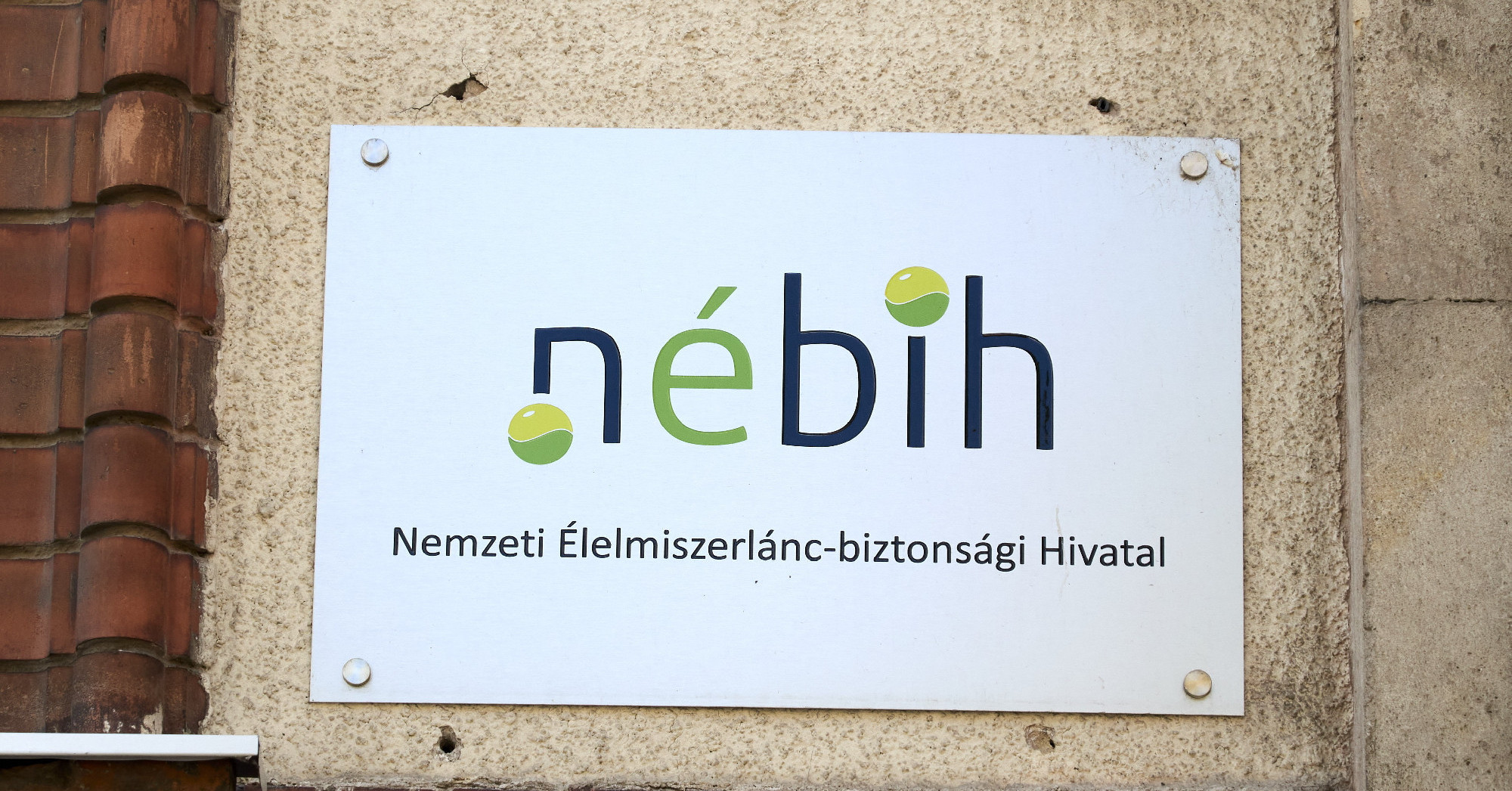Negyven tonna GMO-val szennyezett ukrán vetőmagot foglalt le a Nébih
