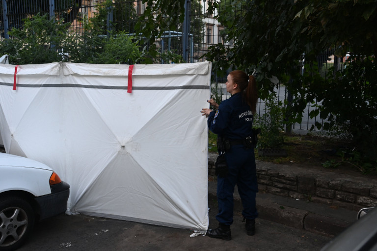 Ötezer forintért verte halálra áldozatát a Klauzál téren egy ukrán férfi 