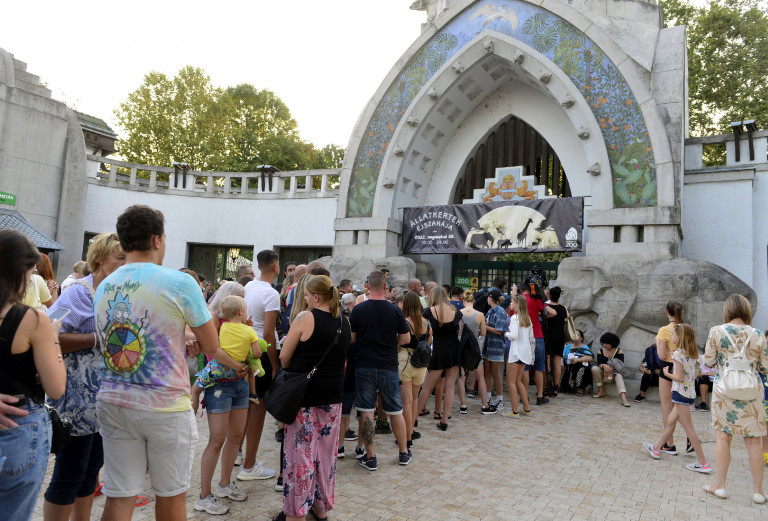 Száj- és körömfájás: ideiglenesen bezár a Fővárosi Állatkert állatsimogatója