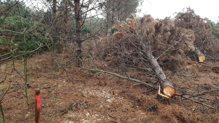 A civilek is tiltakoznak Gyulafirátóton a katonai bázis bővítése miatt 