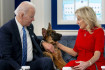 Joe Biden kutyája legalább 24 alkalommal harapta meg a titkosszolgálat ügynökeit