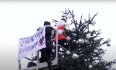 Klímaaktivisták lefűrészelték a berlini karácsonyfa tetejét