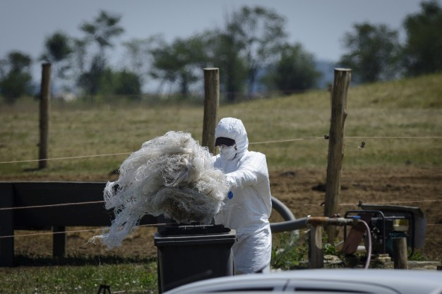 Lassan halad a rendőrség a kötegyáni lépfeneügy tisztázásával
