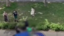 Két család vitája szándékos gázolásba torkollott Pécsen – Videó