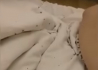 Ágyi poloskák lepik el a szentgotthárdi otthon lakóit