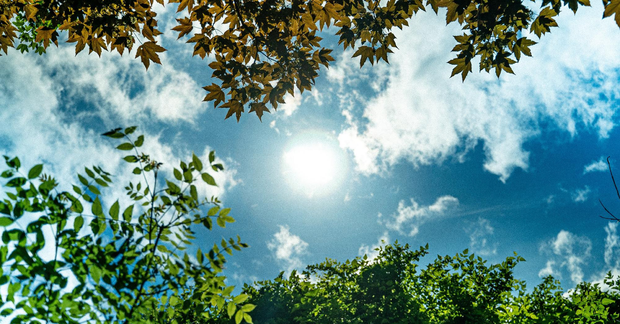 30,2 Celsius-fokot mértek Kelebián