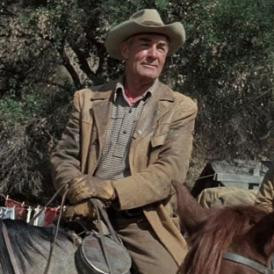 Lombhullásig - Sam Peckinpah: Délutáni puskalövések