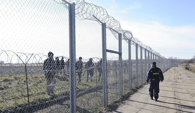 Malacfejek a határon – forradalmi megoldást talált egy fideszes a menekültválságra