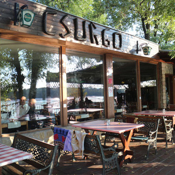 Csurgó – Dunakeszi