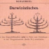 MIKArácsony – DJ Rabbi Williams