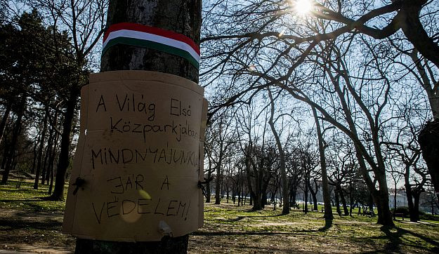 Az élő fába is belekötnek