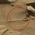 NASA-szenzáció: fényképek bizonyítják, hogy van élet a Marson, s kanállal habzsolják