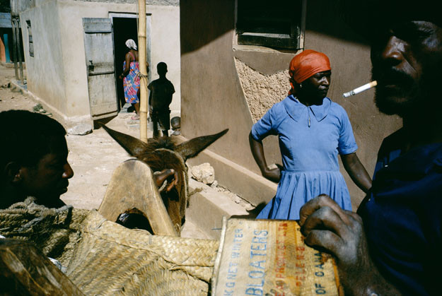 „Amit csak te tudsz” - Interjú Alex Webb fotográfussal